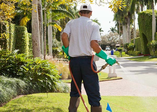 About Schoolcraft MI Pest Control